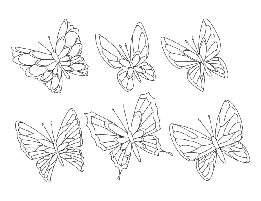 Butterfly Set 6 Tracing Shape Pdf Free Vectors